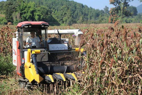 农业机械化绘就绥阳丰景如画